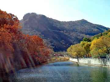 澳门六开彩天天免费资料大全图037期11-9-29-1-13-31T：35