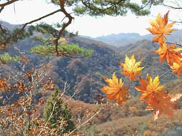 海岛奇兵攻略大揭秘，最新战术与策略探索