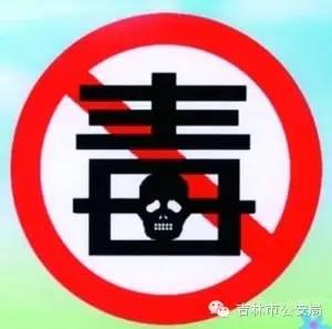 东乌珠穆沁旗文化广电体育和旅游局最新领导团队及未来工作展望