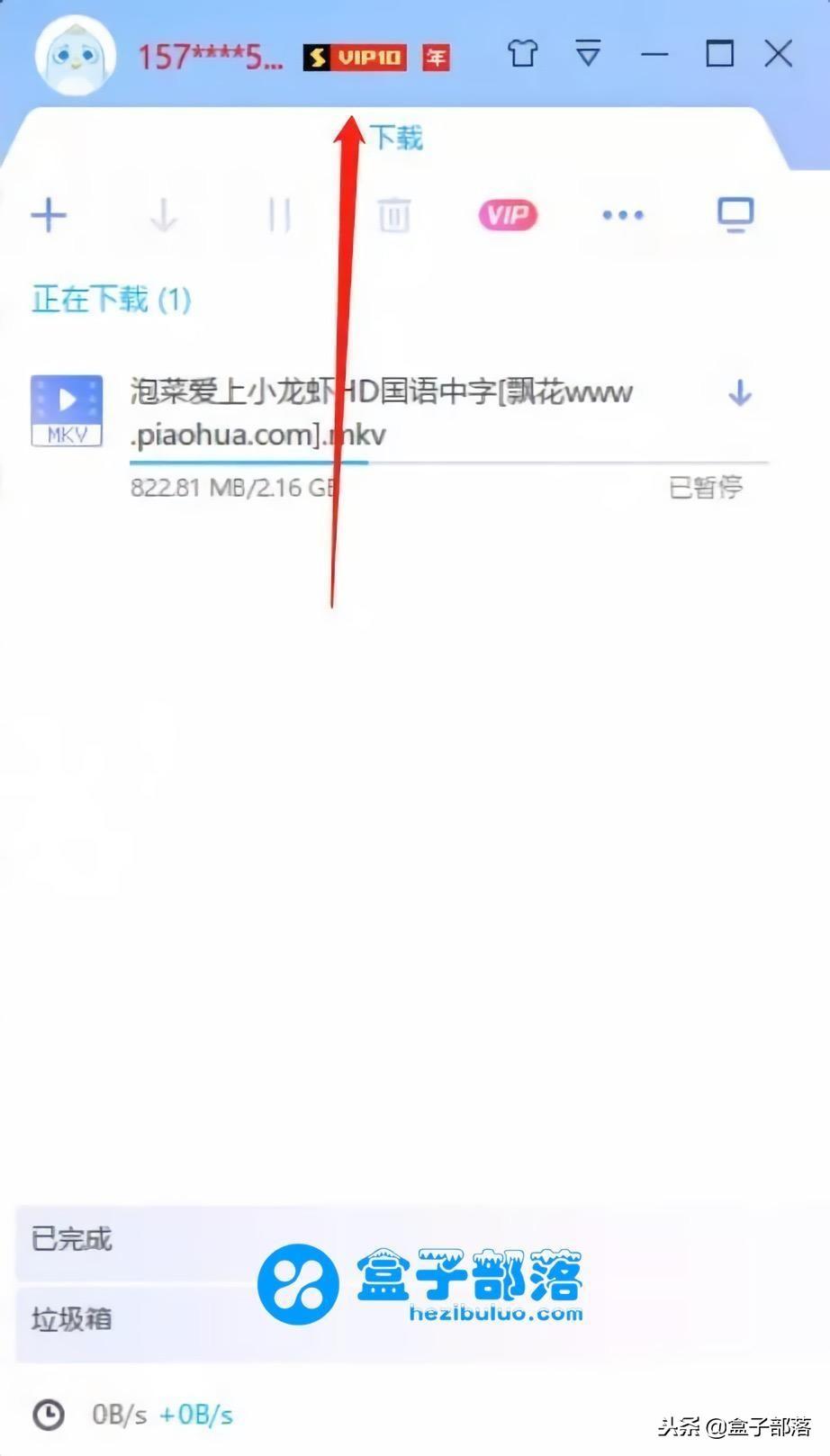 迅雷会员账号最新动态及优势解析