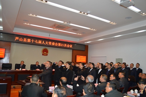 芦山县医疗保障局最新人事任命及动态更新