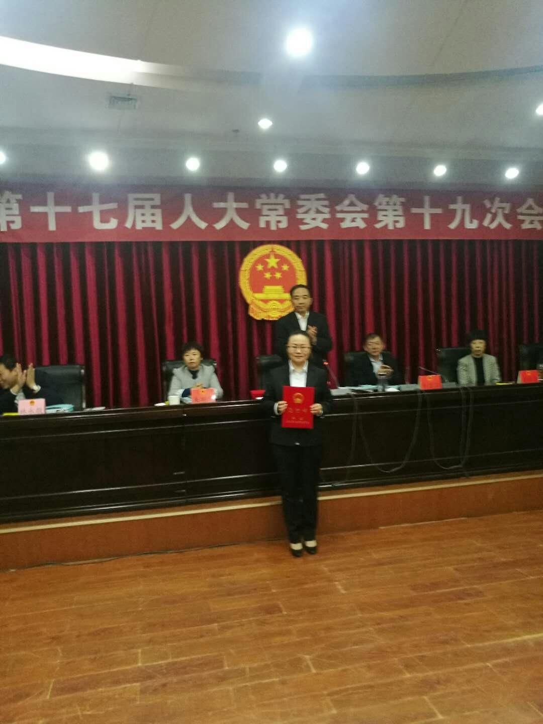 单县人民政府办公室人事任命及动态解析