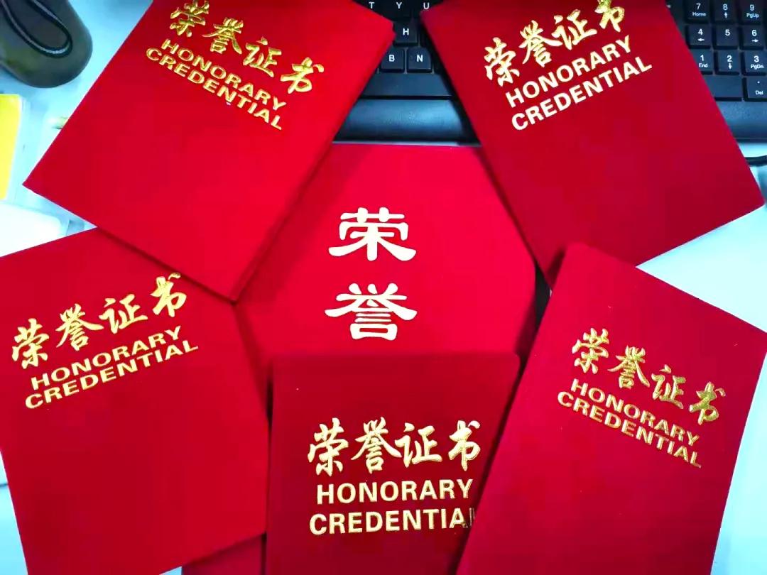 桃城区教育局最新战略规划与发展蓝图