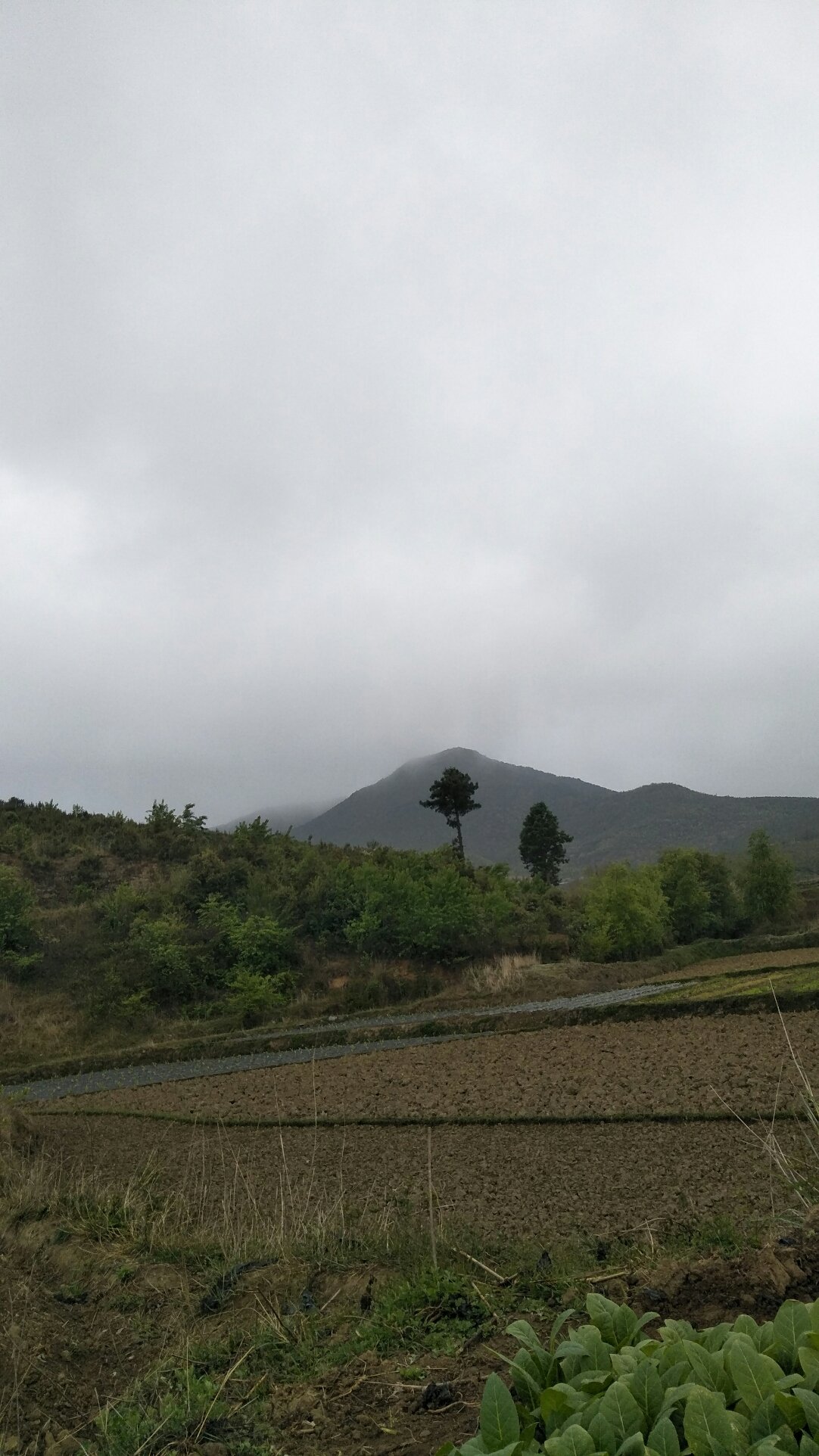 马色村最新天气预报更新通知