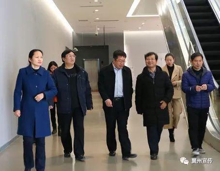 冀州最新新闻报道速递