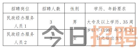 永定区统计局最新招聘信息概览，职位空缺与申请指南