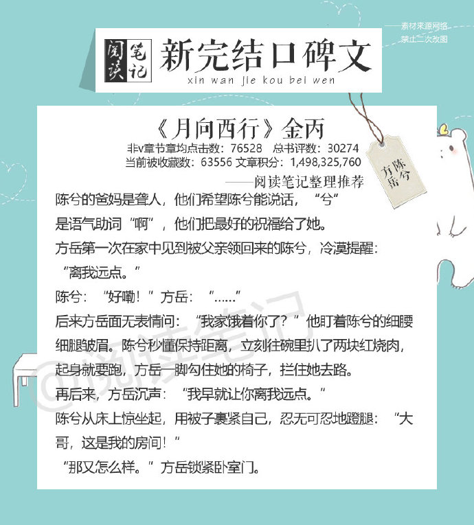 金丙最新小说，未知魅力与奇幻之旅的探索