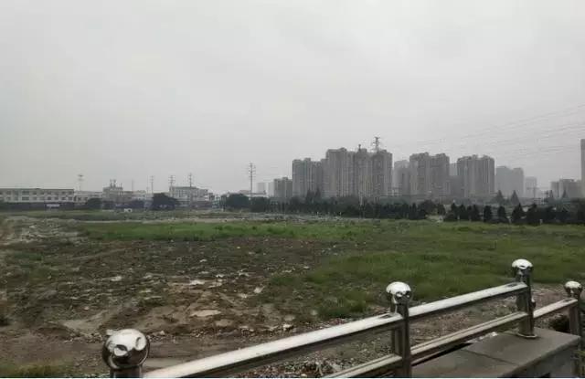 良种场迈向可持续繁荣的未来，最新发展规划揭秘