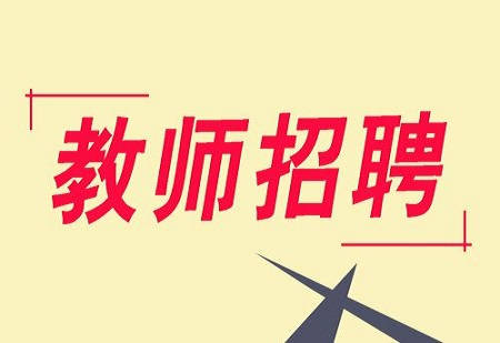 泸州幼师招聘最新动态与前景展望