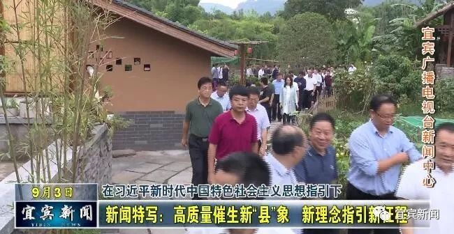 老树川村委会最新交通新闻更新，交通动态及进展报告