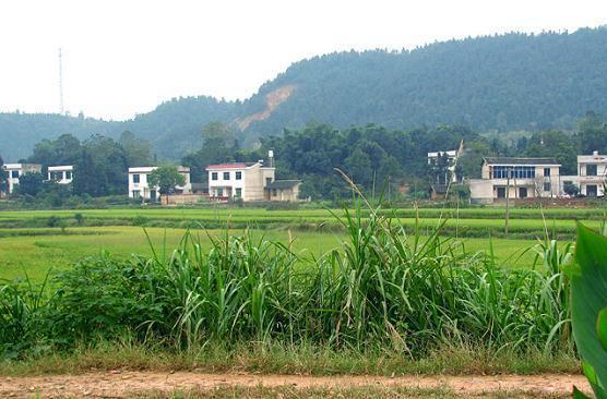 周塍干村委会最新天气预报及其影响分析
