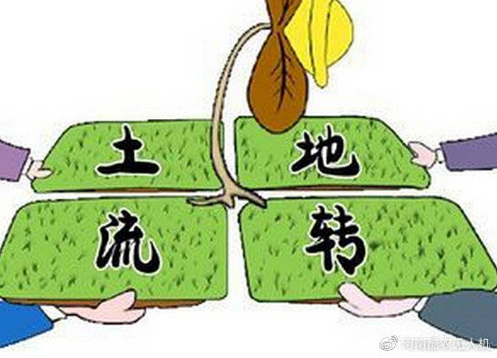 最新土地流转政策，推动农业现代化与乡村振兴的关键力量标题简洁明了，符合内容主旨。