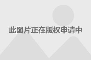 慈清懿